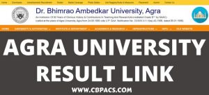 DBRAU 1st 2nd 3rd Year Agra University Result 2022